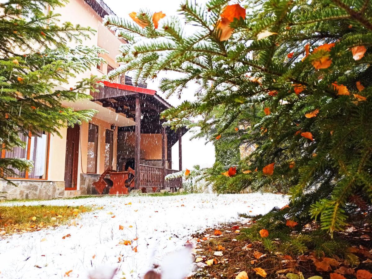 Rodopi Houses Chepelare Exterior foto
