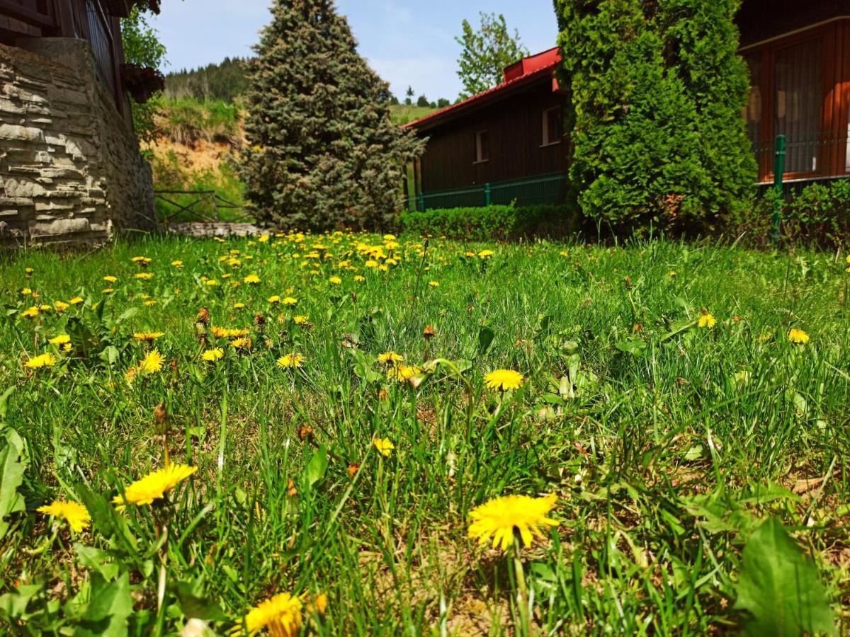 Rodopi Houses Chepelare Exterior foto
