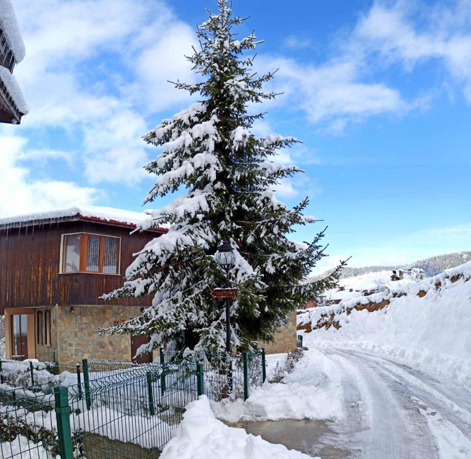 Rodopi Houses Chepelare Exterior foto